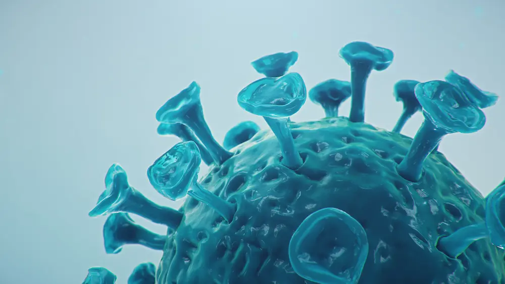 Foto genérica del virus