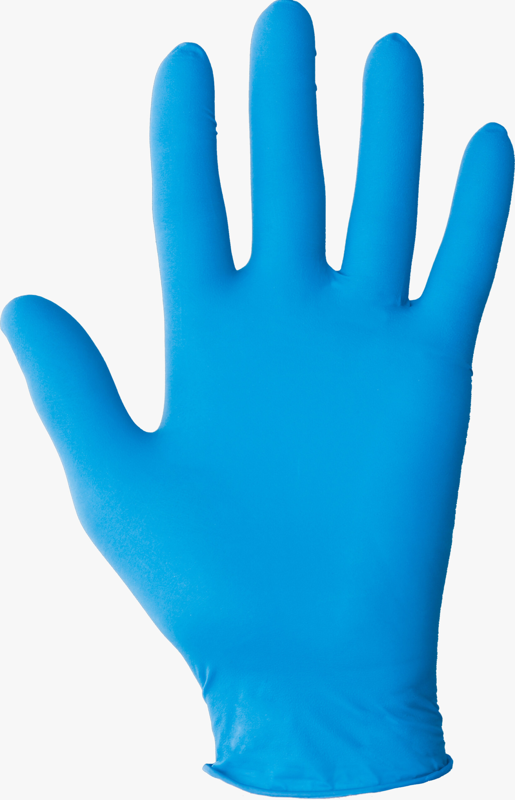 Gants jetables en nitrile (sans poudre, à texture palmaire) - Lakeland  Industries Global PPE