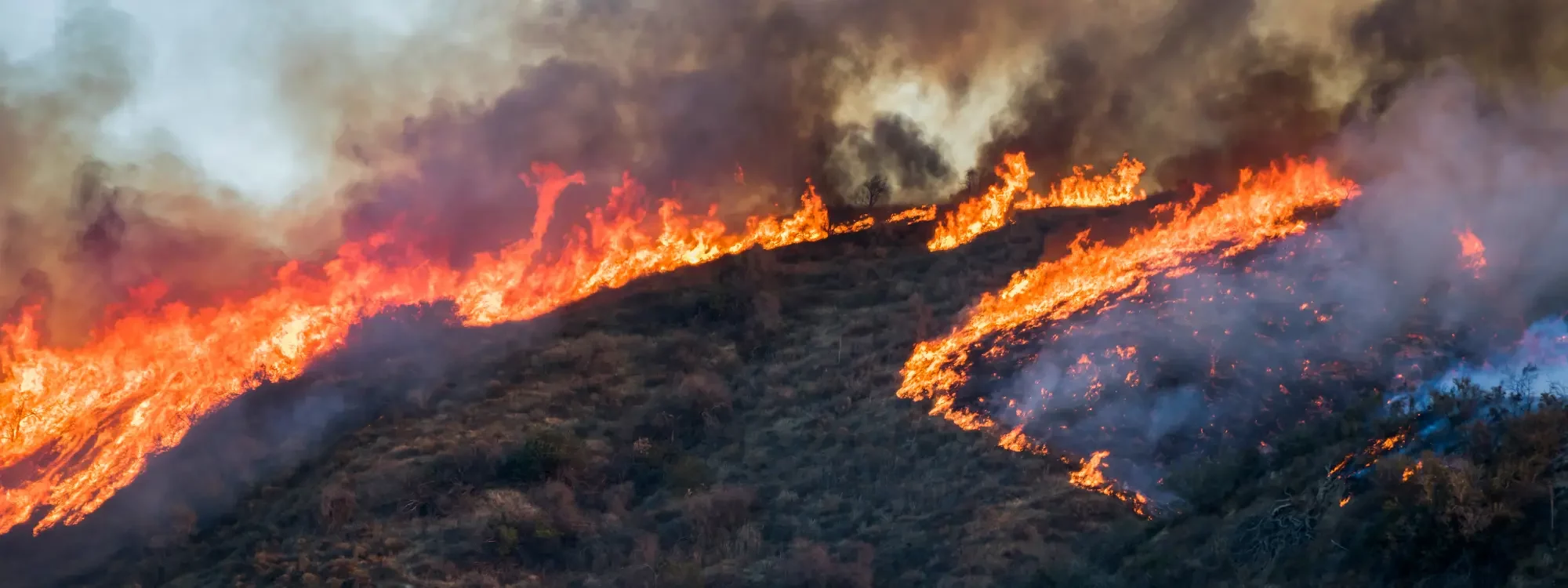 Birds-eye shot of a wildfire surrounding and closing in on a forest