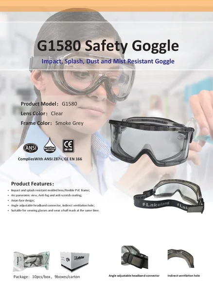 g1580 Schutzbrille 1