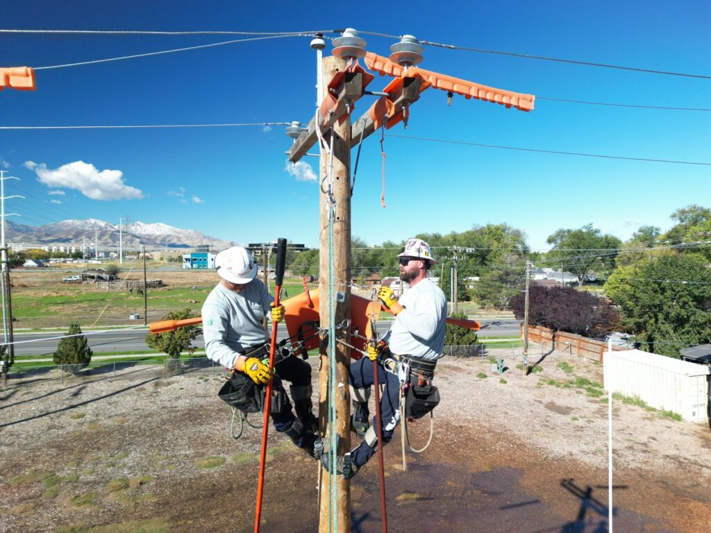 Lineworkers performing maintenance on utility pole.