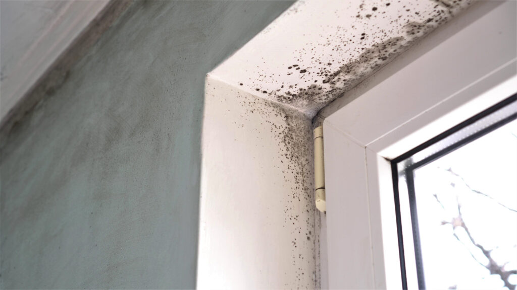 Safeguarding Your Home: Why Asbestos Surveys Matter Before Water Damage Restoration